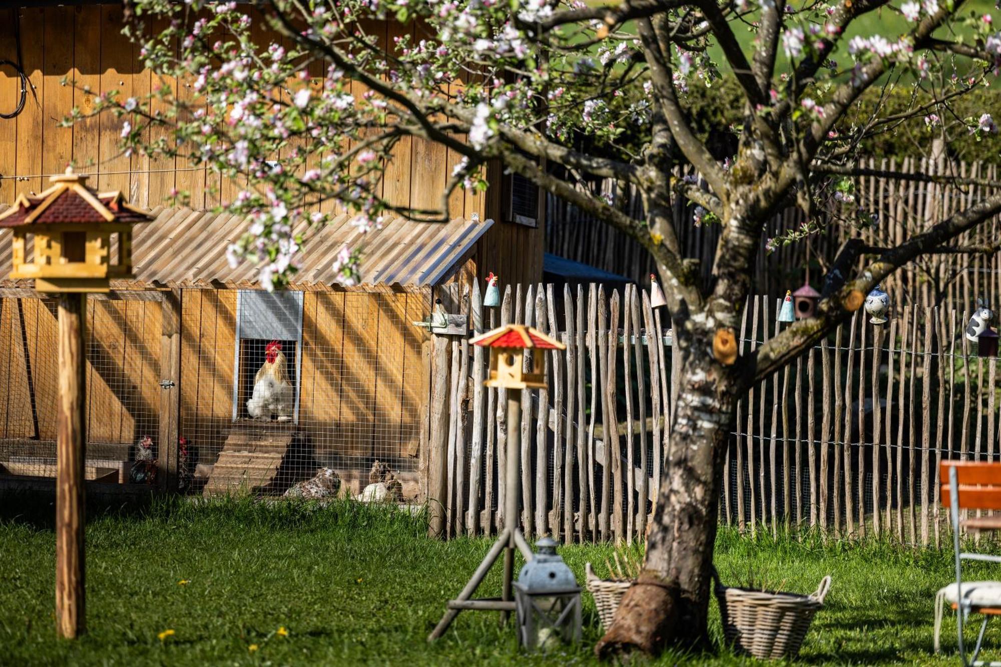 Wassererlehen Bischofswiesen Kültér fotó